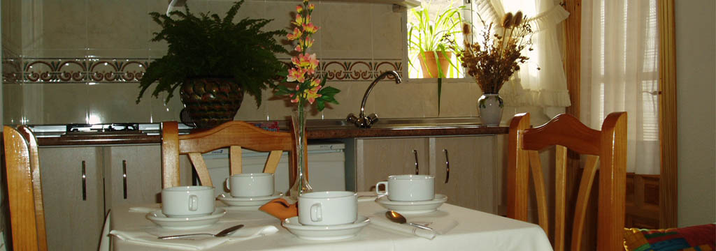detalle de la cocina de un apartamento en Apartamentos rurales Júcar